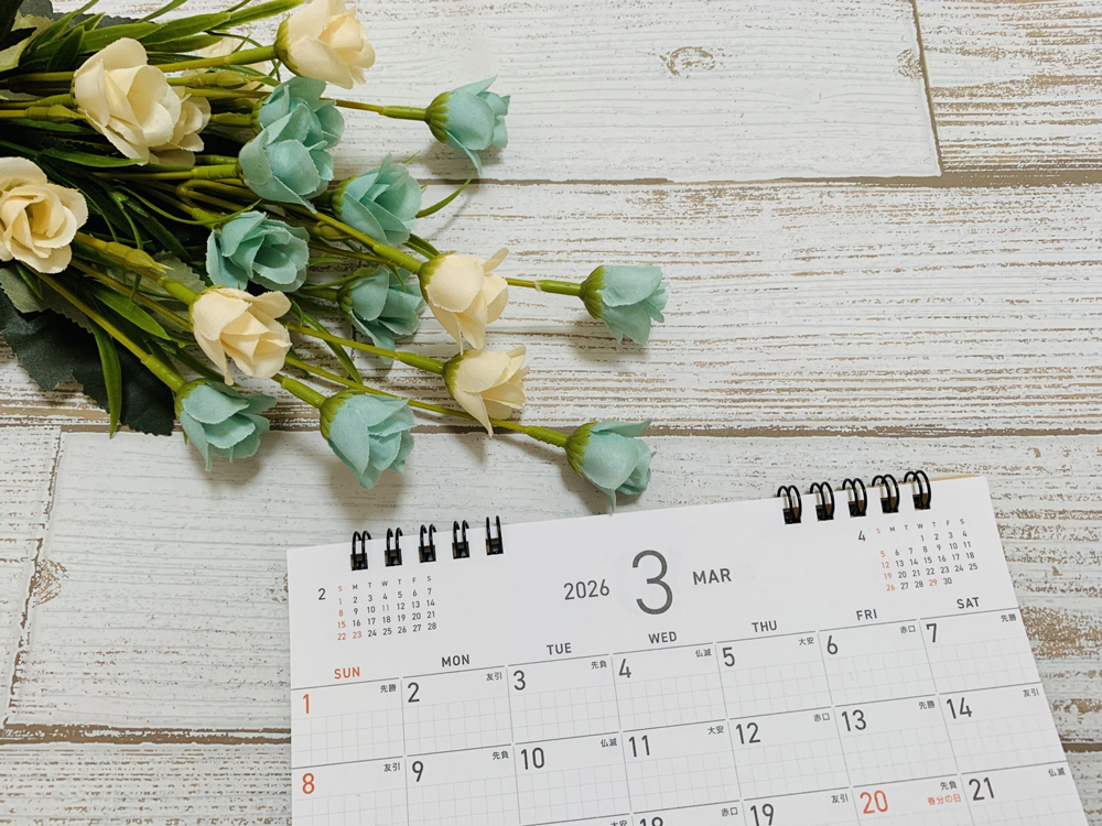 snack & bar Core Concept